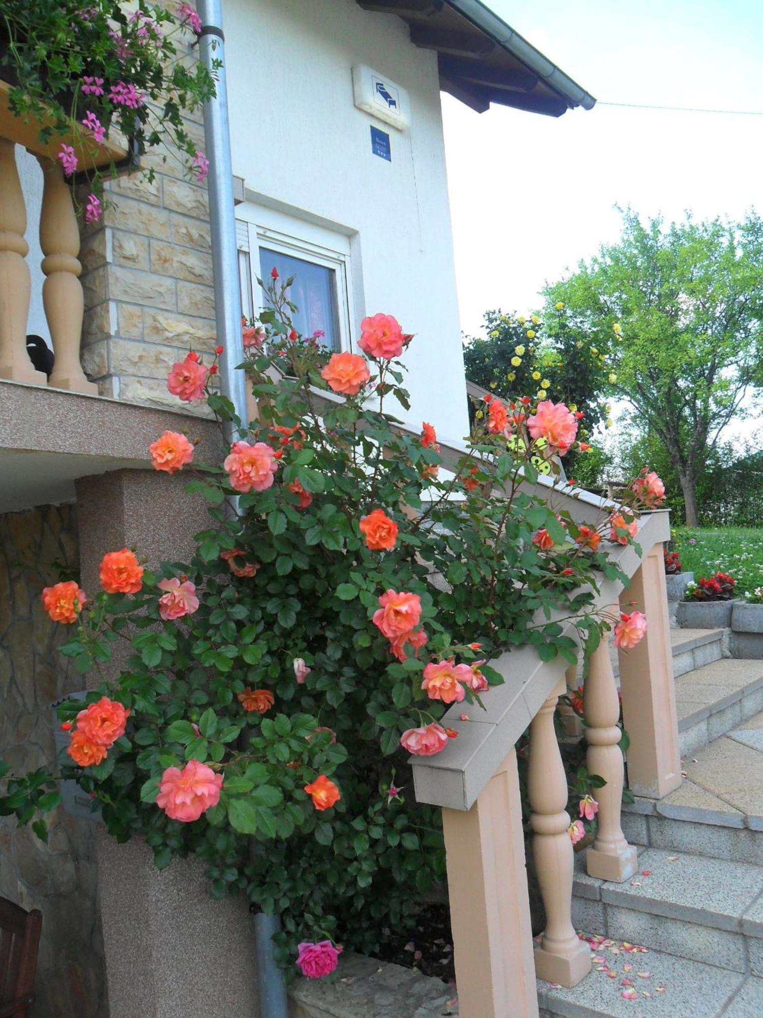 Guesthouse Sara Grabovac  Exteriör bild